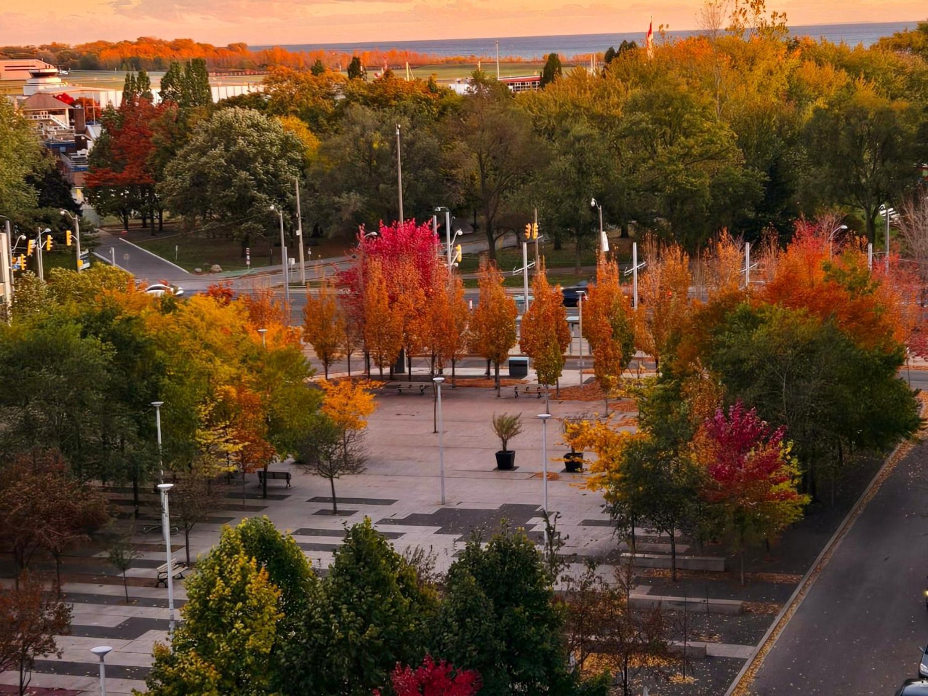 Lakeview Condo In Downtown With Free Parking. Торонто Екстер'єр фото